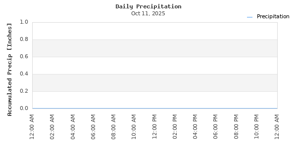 Daily Precipitation Time Series