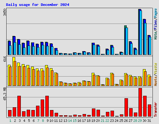Daily usage for December 2024