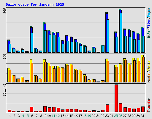 Daily usage for January 2025