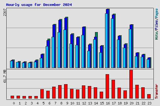 Hourly usage for December 2024